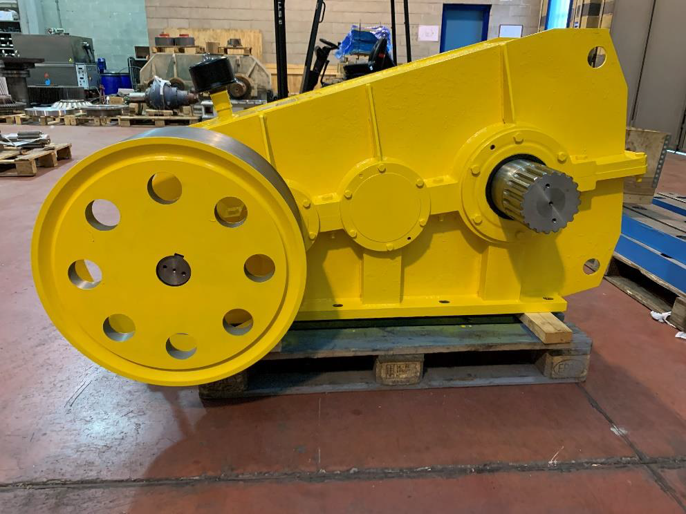 Gearbox review lift BADONI crane for Buzzi Unicem