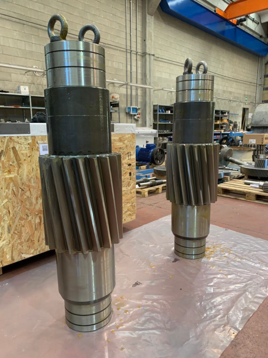 Sprockets and spare wheel for Zanini-Renk